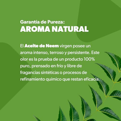 Pure Neem Oil with Tea Tree - Anti-Acne Face Oil, 1 fl oz