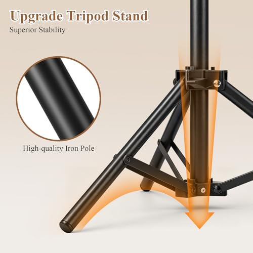 Braiding Hair Rack Standing Extension Holder Hanger, 144 Pegs Divider for Separator Stand Display (Black)