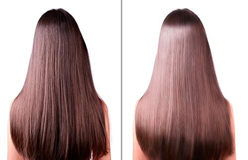 Difeel Rosemary Mint Strengthening Shampoo with Biotin - Natural Hair Growth 12oz