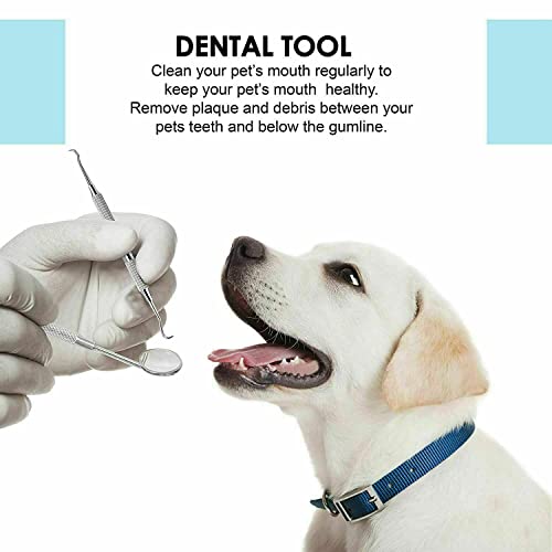 Dental Scaler & Tartar Remover Kit - Stainless Steel Teeth Cleaning Tools for Professionals & Home Use