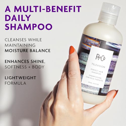 R+Co TELEVISION Perfect Hair Shampoo, 2 Fl Oz - Moisturizing & Detoxifying