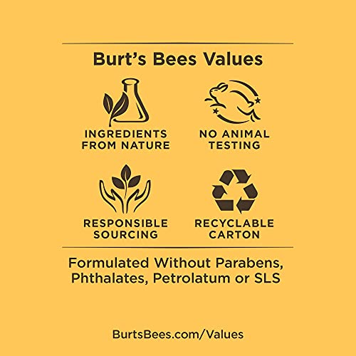 Burt's Bees 100% Natural Moisturizing Lip Balm, Coconut & Pear, 4 Tubes
