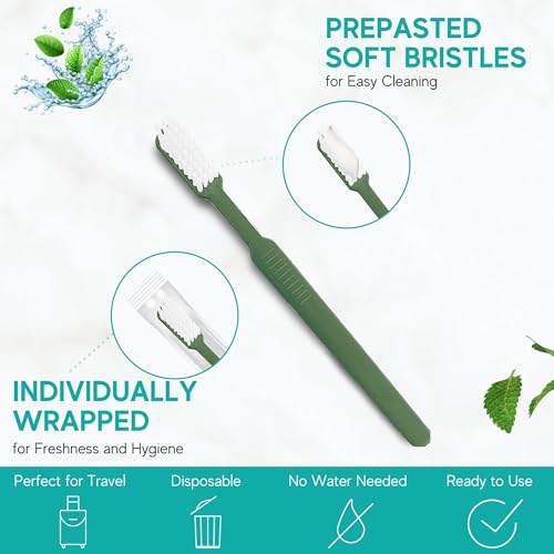 Avistar 40-Pack Prepasted Disposable Toothbrushes – Individually Wrapped