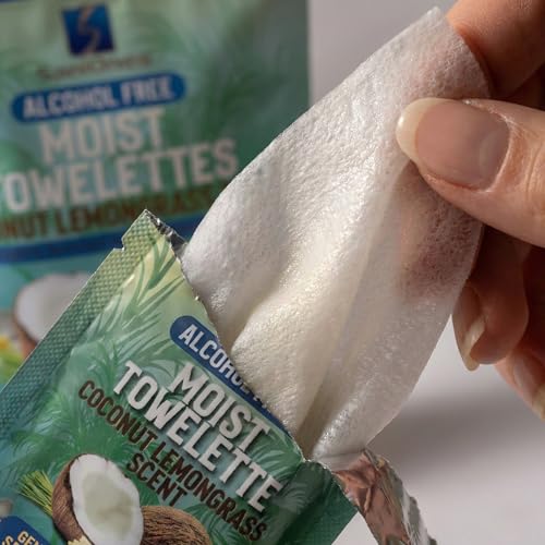 SaniOnes Individually Wrapped Hand Wipes - Alcohol-Free Travel Packets