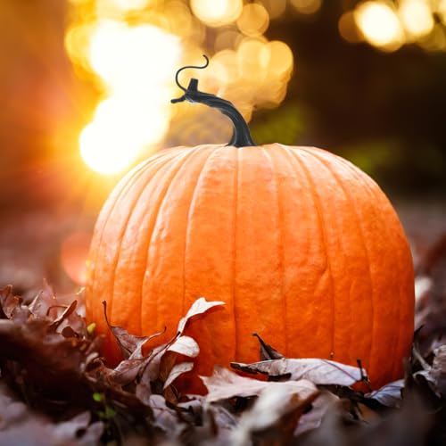 Simulated Black Pumpkin Stem Handle for DIY Fall Decorations - 3.62 Inch