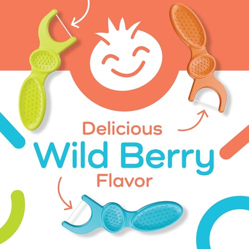 Plackers Kids Dental Floss Picks Pack of 4, Fruit Smoothie Swirl, 75 Count Each, Multicolor