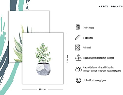 HerZii Botanical Wall Art Prints Set of 4 | 5x7 Unframed Decor