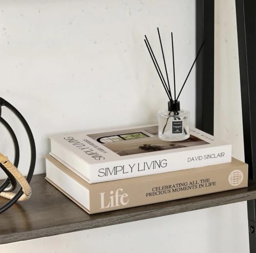 Minimalist Faux Books for Coffee Table Decor - 2 Pcs Set