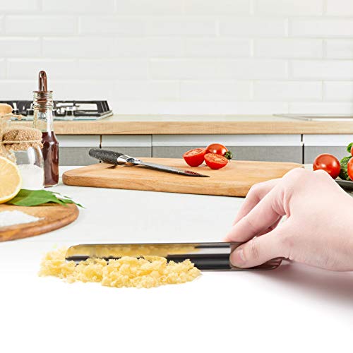 Stainless Steel Crumb Sweepers - 2 Pack Table Crumber Tool for Waiters