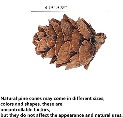 300 Mini Pine Cones for DIY Crafts & Home Decor - Natural Wood