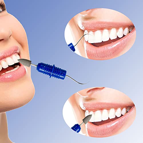 Portable Dental Picks Set 4PCS for Teeth Cleaning Tartar & Plaque Removal with Keychain