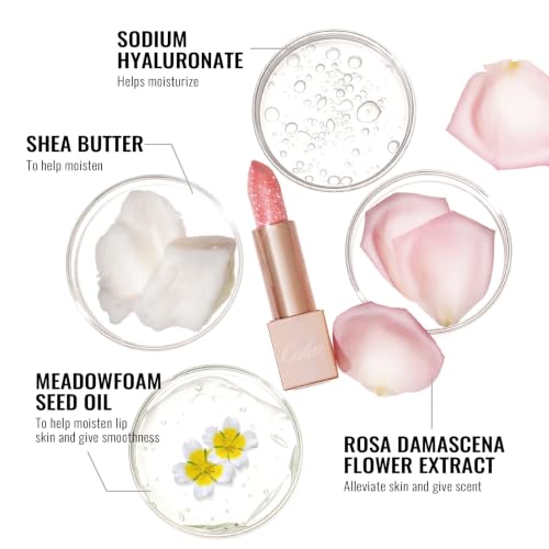 Oulac 2PCS Shimmer Lipstick Set - Vegan Hydrating Lip Balm