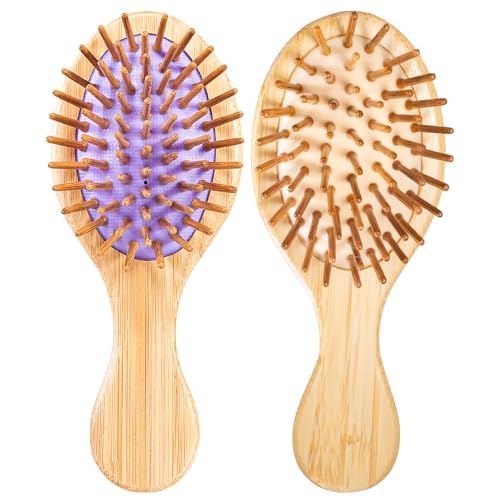 Violet 2 Pack Mini Travel Hair Brush for Detangling Curly, Thick, Wet & Dry Hair