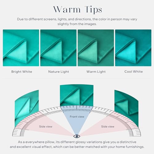 Phantoscope Velvet Throw Pillow Covers - Pack of 2, 20x20 inches, Turquoise