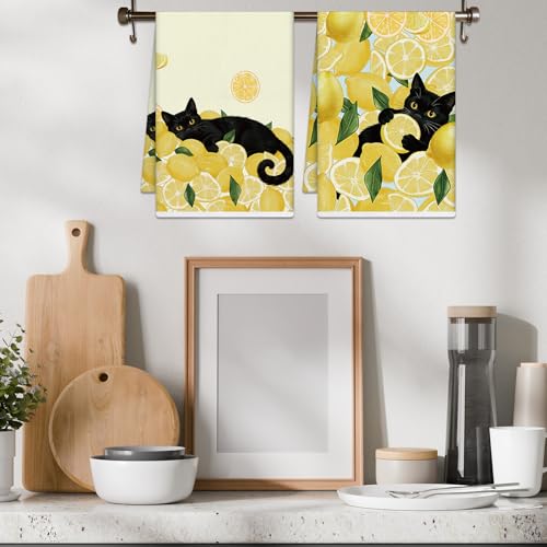 Black Cat Lemon Kitchen Towels Set of 4 | Microfiber, 16x24 Inch