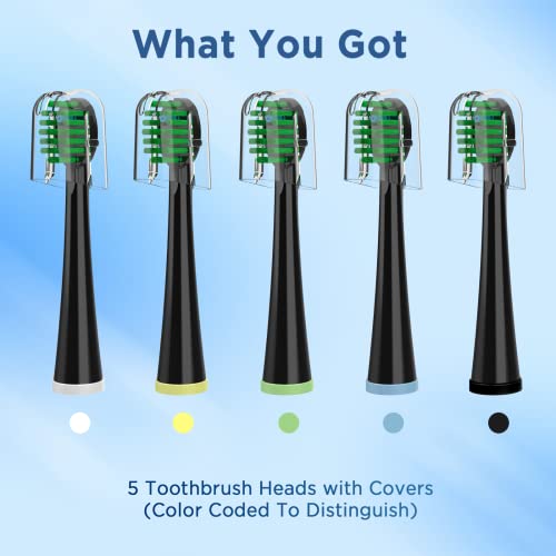 Fregum Replacement Toothbrush Heads for Waterpik Sonic Fusion - Pack of 5
