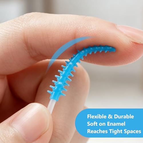 220 Soft Dental Floss Picks with Storage Case - Interdental Brushes