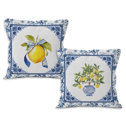 Sun Bird Lemon Chinoiserie Pillow Covers, 18x18 Set of 2