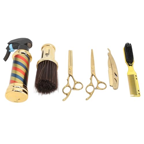 Professional Hair Cutting Scissors Set with Thinning Scissors & Accessories