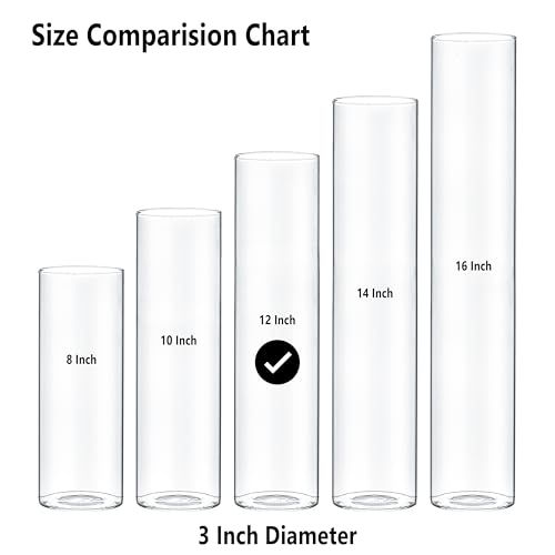 CYS EXCEL 12" Clear Glass Cylinder Vase - Elegant Candle Holder & Centerpiece