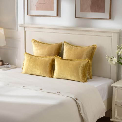 FUTEI Pack of 2 Velvet Throw Pillow Covers 18x18 Inch with Tassels
