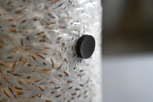 Microppose Self-Healing Injection Ports for Mushroom Spawn Bags (50-Pack)