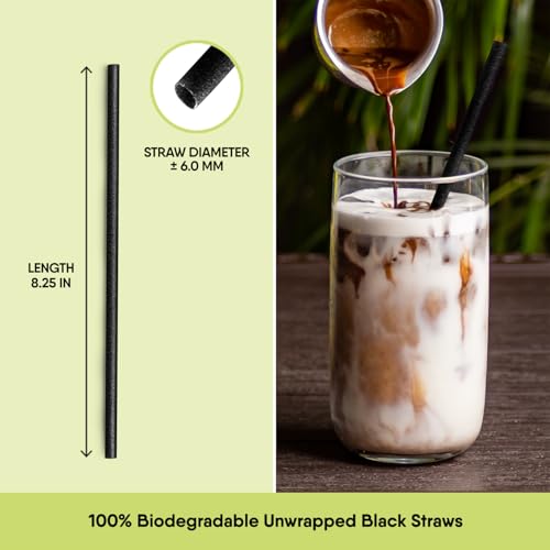 Biodegradable Black Straws - 100 Pack Eco-Friendly Drinking Straws
