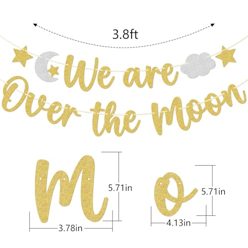 We Are Over the Moon Banner - Gold & Silver Glitter Baby Shower Decor