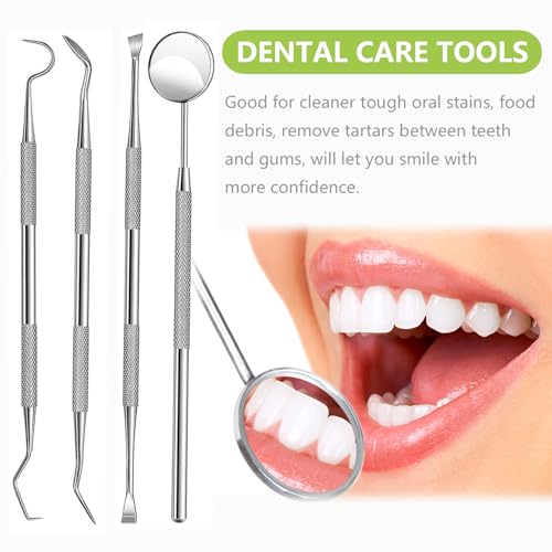 PARYUNGR 8-Piece Dental Tools Kit - Stainless Steel Plaque Remover