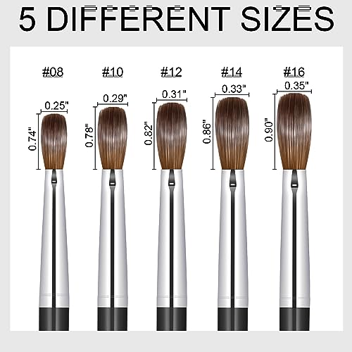 KEMEISI Kolinsky Acrylic Nail Brush #12, Oval Professional Manicure Tool