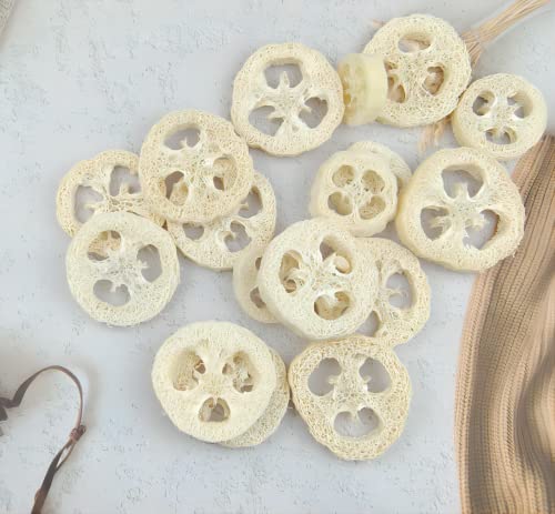 2 Inch Natural Loofah Slices - Pack of 25 Reusable Exfoliating Sponges for Skin & DIY Soap Making