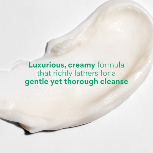 Innisfree Green Tea Amino Acid Cleansing Foam 5.07 oz Sulfate-Free Face Wash