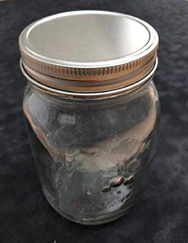 Wide Mouth Mason Jar Lids - Stainless Steel with Silicone Seals (6 Pack)