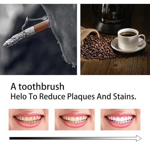 Colincie Extra Hard Bristle Toothbrush Travel Kit - 12 Pack with Cases