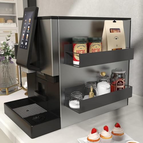 Magnetic Spice Rack Organizer - 2 Pack Black Metal Shelf for Fridge & Oven