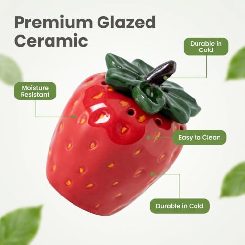 Strawberry Ceramic Refrigerator Deodorizer with Lid - 8 Vent Holes