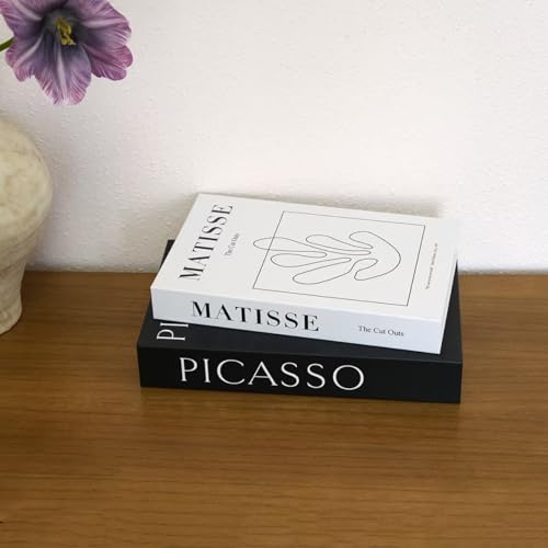 Set of 2 Decorative Faux Books - Modern Black & White Art Theme
