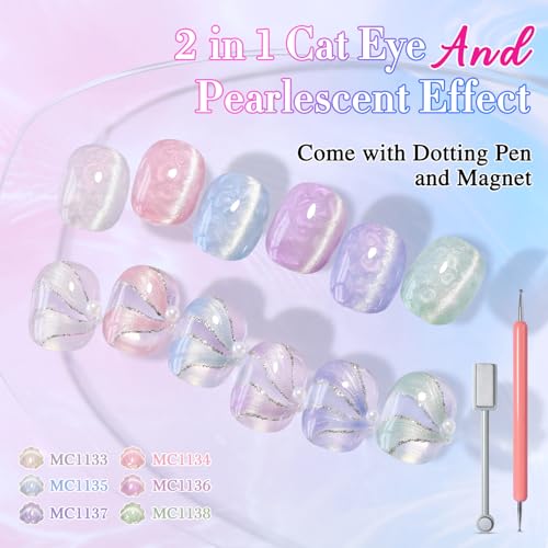 Double Rhythm 6-Color Cat Eye Gel Nail Polish Set with Magnetic Tool