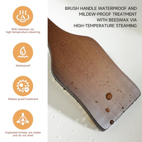 EnamelEVO Curved Long Handle Back Scrubber with Natural Stiff Bristles