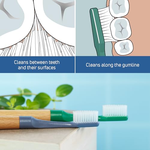 TePe Choice Soft-Bristle Toothbrush with 3 Replaceable Heads - Green