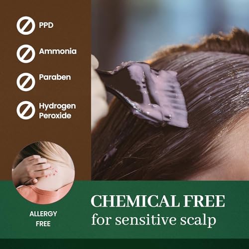 Natural Black Hair Color Cream & Gray Cover Tint - PPD-Free, Vegan, Gentle for Sensitive Scalp | Mom Gifts