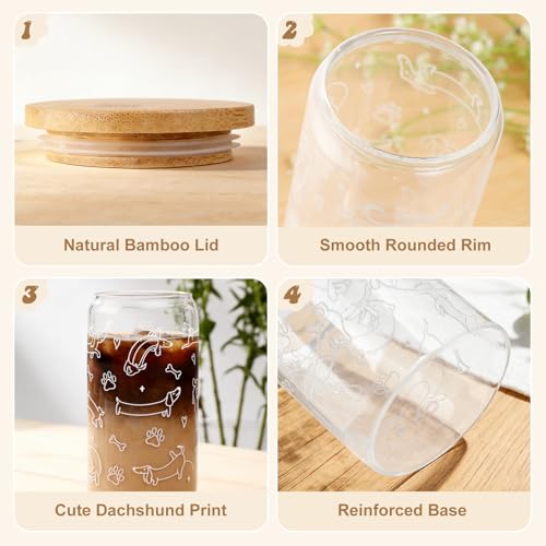 Dachshund Glass Tumbler with Lid & Straw - 16oz Coffee Cup Gift
