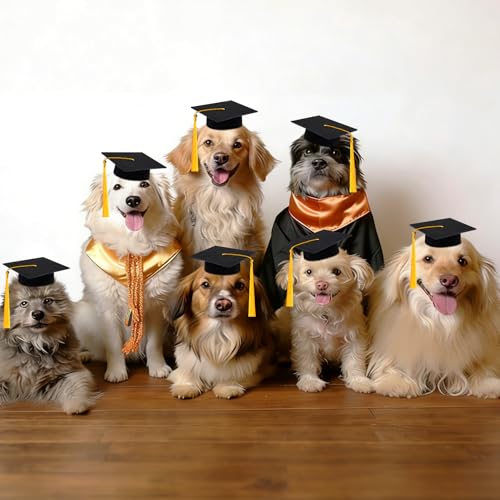Mini Graduation Cap Set - 9 Felt Caps with Tassels for Plush Toys