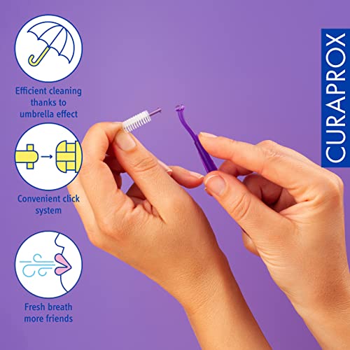 Curaprox CPS 408 Perio Interdental Brush Starter Set - 5 Brushes & Holder