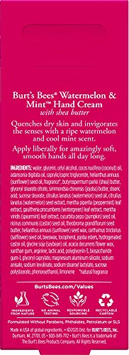 Burt's Bees Watermelon & Mint Hand Cream - 1 oz Moisturizer