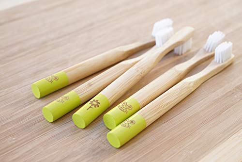 Rain Organic Bamboo Baby Toothbrush - Extra Soft, BPA-Free, Eco-Friendly