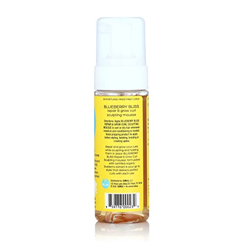 Curls Blueberry Bliss Curl Sculpting Mousse - 5.75 oz for Curly Hair