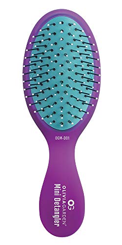 Olivia Garden Aurora Detangler Brush Purple Mini – Wet & Dry Hair, Fine to Medium