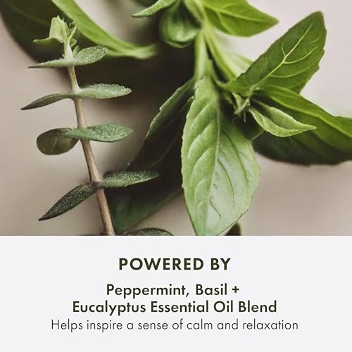 Origins Peace of Mind On-the-Spot Relief - Aromatherapy Essential Oil Blend with Eucalyptus, Peppermint & Basil - Wellness & Relaxation