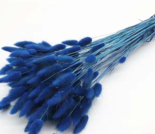 120pcs Blue Dried Bunny Tail Pampas Grass for Boho Decor